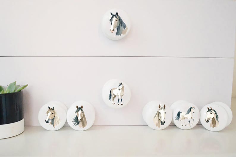 Seven white round solid beech furniture knobs each with a different horse illustration. Two are standing and five are horse heads in different shades of grey, white, brown, beige. The drawer handles have a glossy finish and are shown on a chest of drawers with succulent plants for decoration.
