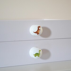 Two white solid Beech furniture knobs with colourful dinosaur designs. The dinosaurs include a brown T Rex and a green Brachiosaurus. The drawer handles have a smooth glossy finish and are shown on a white chest of drawers.