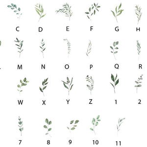 The image shows 37 leaf illustrations in various shades of green with design codes underneath. These are the design choices for ordering.