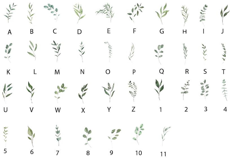 The image shows 37 leaf illustrations in various shades of green with design codes underneath. These are the design choices for ordering.