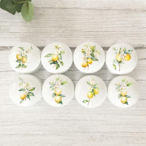 May include: A set of eight round white cabinet knobs, each featuring a botanical illustration of yellow lemons, green leaves, and white blossoms. The knobs are arranged in two rows of four, displaying a consistent lemon-themed design on each piece.