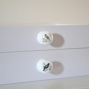 Bird Drawer Knobs, English Bird Knobs, Dresser Pulls, Handles, Robin, Furniture Handles, Furniture Knobs, Door Handles, Dresser Handles. zdjęcie 6