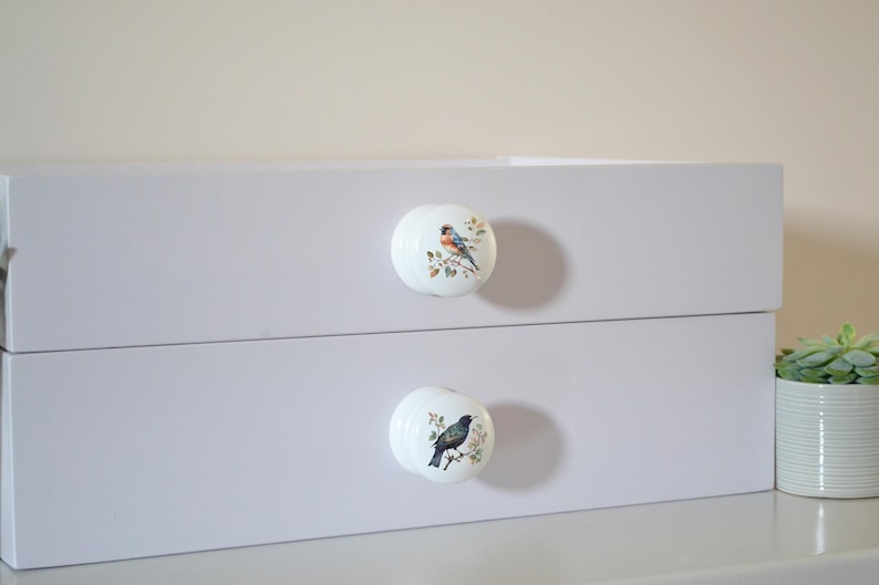 Bird Drawer Knobs, English Bird Knobs, Dresser Pulls, Handles, Robin, Furniture Handles, Furniture Knobs, Door Handles, Dresser Handles. zdjęcie 6