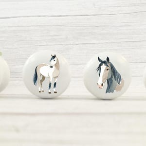 Four white round solid beech furniture knobs with a horse theme. There are 2 standing and 2 horse heads in beige, brown, white, grey and tan colours and in different poses. The cabinet handles have a glossy finish and are shown on a pale wood background with foliage for decoration.