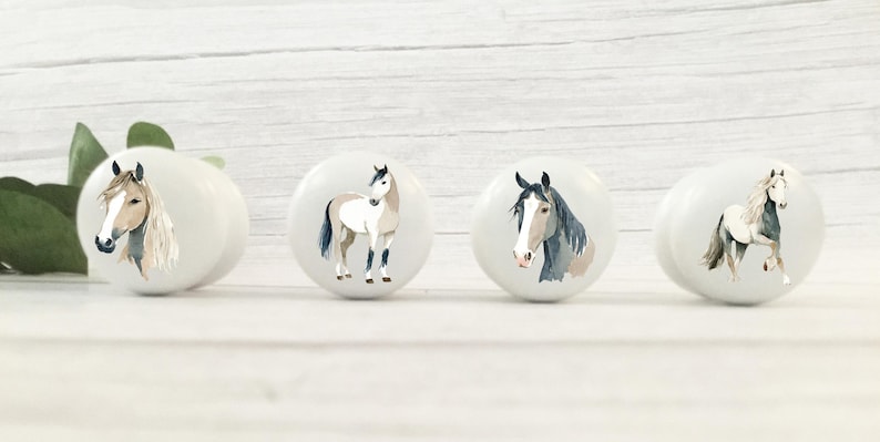 Four white round solid beech furniture knobs with a horse theme. There are 2 standing and 2 horse heads in beige, brown, white, grey and tan colours and in different poses. The cabinet handles have a glossy finish and are shown on a pale wood background with foliage for decoration.