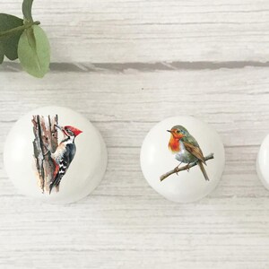 Bird Drawer Knobs, English Bird Knobs, Dresser Pulls, Handles, Robin, Furniture Handles, Furniture Knobs, Door Handles, Dresser Handles. zdjęcie 5