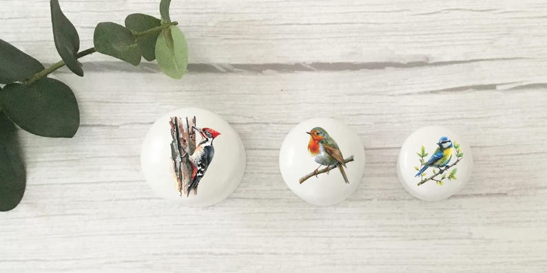 Bird Drawer Knobs, English Bird Knobs, Dresser Pulls, Handles, Robin, Furniture Handles, Furniture Knobs, Door Handles, Dresser Handles. zdjęcie 5