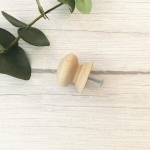 May include: A light wood knob with a silver screw. The knob is round and has a slightly raised centre. It is a simple and elegant design.