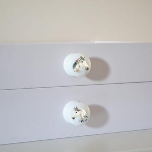 Two white round solid beech furniture knobs each with a horse head illustration with a floral headdress. The horses are a light colour and have a glossy finish. They are shown on a chest of drawers with succulent plants for decoration.