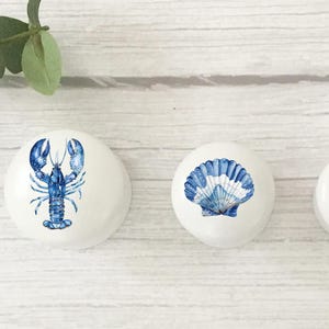 Three white round solid beech furniture knobs shown with 3 different sizes from largest to smallest. The largest has a blue lobster design, the medium a blue shell design and the smallest a blue sea turtle. The cabinet handles have a glossy finish and are shown on a pale wood background with foliage for decoration.
