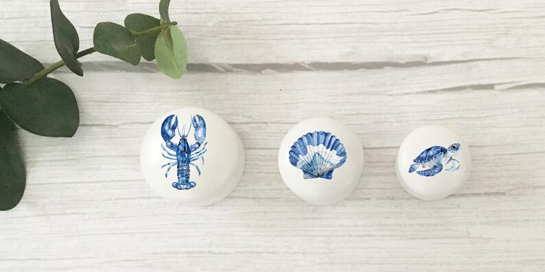 Three white round solid beech furniture knobs shown with 3 different sizes from largest to smallest. The largest has a blue lobster design, the medium a blue shell design and the smallest a blue sea turtle. The cabinet handles have a glossy finish and are shown on a pale wood background with foliage for decoration.