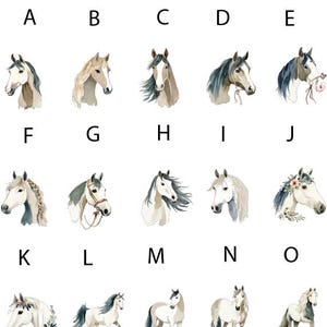 20 horse illustrations 16 horse heads and 4 standing/galloping. The horses are a mix of white, grey, tan, beige, brown. The illustrations have a code A - T these are the codes used for ordering.
