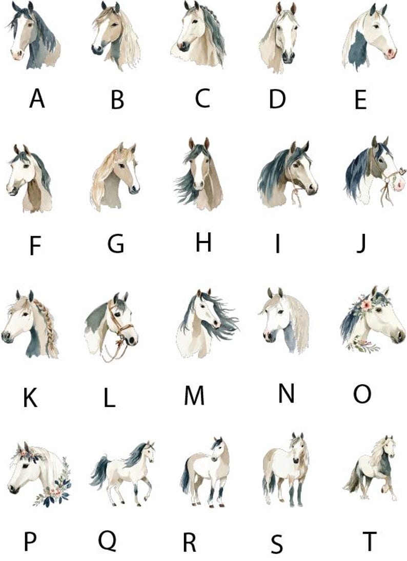 20 horse illustrations 16 horse heads and 4 standing/galloping. The horses are a mix of white, grey, tan, beige, brown. The illustrations have a code A - T these are the codes used for ordering.