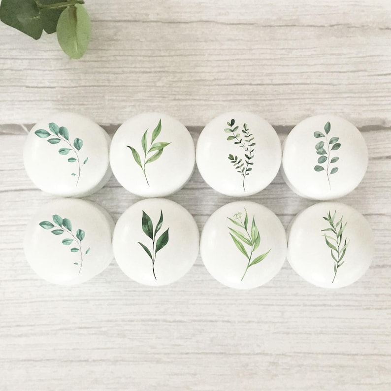 Eight white round solid beech furniture knobs each with a different leaf design in various shades of green. The knobs are featured on a pale wood background with a leaf at the top for decoration. The handles have a glossy finish.