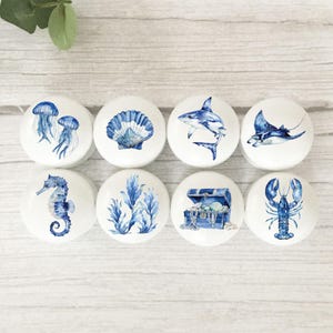 Eight white round solid beech furniture knobs each with a blue nautical themed design. The designs include jellyfish, seashell, shark, stingray, seahorse, seaweed, treasure chest and lobster. The cabinet handles have a glossy finish and are shown on a pale wood background with foliage for decoration.