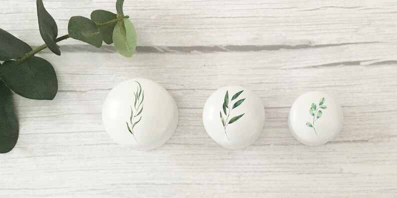 Three solid white beech furniture knobs each with a different leaf design on the front in various shades of green. They are shown in the three sizes available from largest to smallest and are shown on a pale wood  background with foliage for decoration. The cabinet handles have a glossy finish.
