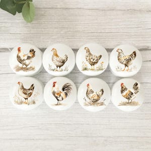 May include: A set of eight round white ceramic knobs, each featuring a unique watercolour-style illustration of a chicken or rooster. The birds are depicted in various poses and colour patterns, including brown, white, and black, standing on grass.