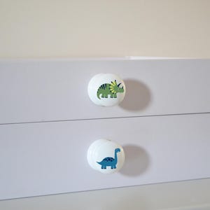 May include: A white dresser with two drawers, each adorned with a round, white knob. The top knob features a green and yellow dinosaur, while the bottom knob displays a blue dinosaur. A small succulent plant in a white pot is on the right.