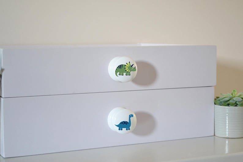 May include: A white dresser with two drawers, each adorned with a round, white knob. The top knob features a green and yellow dinosaur, while the bottom knob displays a blue dinosaur. A small succulent plant in a white pot is on the right.