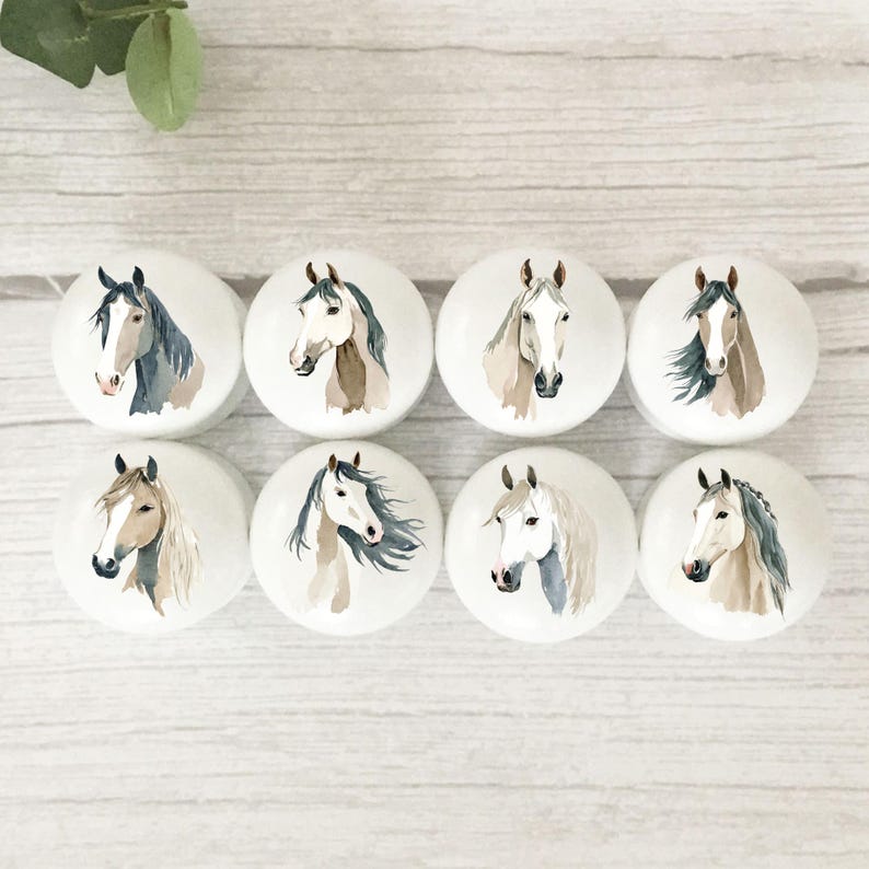 Eight white round solid beech furniture knobs each with a different horse head design in a watercolour style with a colour scheme of brown, beige, tan, white and grey. The horses have different poses and they all coordinate together. The handles have a glossy finish and are shown on a pale wood background with foliage for decoration.