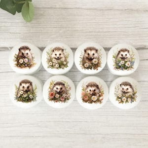 May include: Eight white ceramic cabinet knobs, each decorated with a hedgehog and floral design. The hedgehogs have brown quills and are surrounded by flowers in various colours. These decorative knobs would be a charming addition to any furniture piece or cabinet.