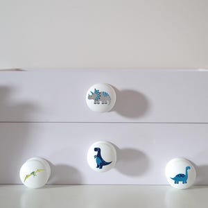 May include: White storage box with three dinosaur-themed drawer knobs. The knobs feature blue and gray dinosaur illustrations. A potted succulent is on each side of the box. The box is on a white surface.