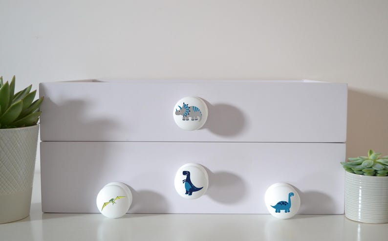 May include: White storage box with three dinosaur-themed drawer knobs. The knobs feature blue and gray dinosaur illustrations. A potted succulent is on each side of the box. The box is on a white surface.