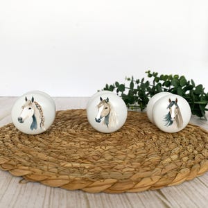 Three white round solid beech furniture knobs with different horse head illustrations. The horses consist of a white/tan, a beige/tan and a light brown one. The drawer pulls have a glossy finish and are shown on a pale wood background with a wicker mat and foliage for decoration.