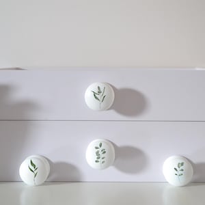 Four white solid beech furniture knobs each with a different leaf design in different shades of green.  The knobs are shown on a chest of drawers with succulent plants in the background for decoration. The cabinet handles have a glossy finish.