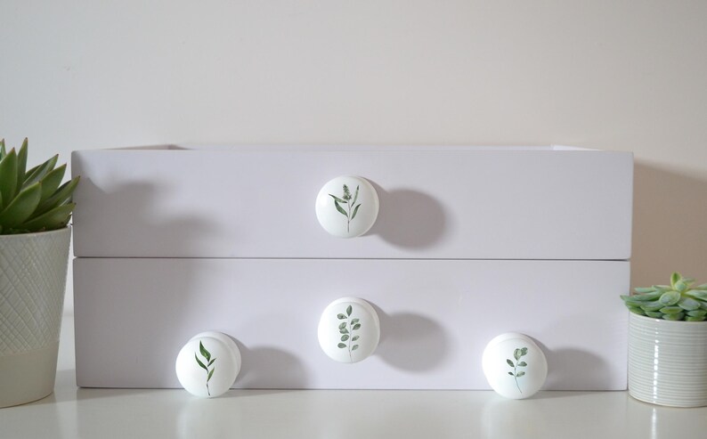 Four white solid beech furniture knobs each with a different leaf design in different shades of green.  The knobs are shown on a chest of drawers with succulent plants in the background for decoration. The cabinet handles have a glossy finish.