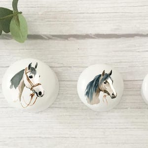 Three white round solid beech furniture knobs each with a different horse head illustration. Two are white/cream and one is a light brown/tan. The handles have a glossy finish and are shown on a pale wood background with foliage for decoration.