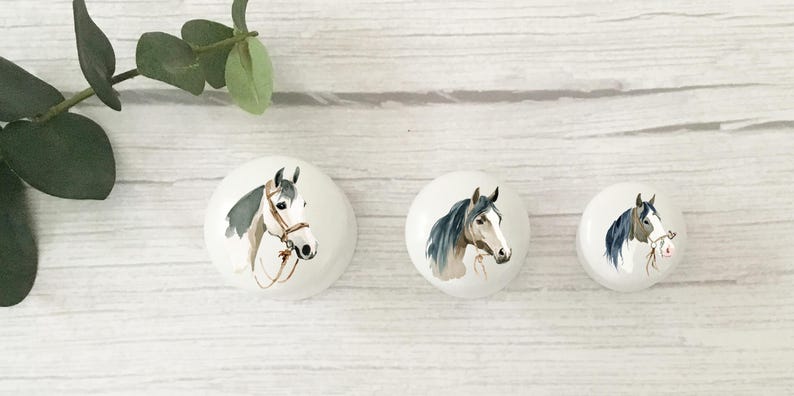 Three white round solid beech furniture knobs each with a different horse head illustration. Two are white/cream and one is a light brown/tan. The handles have a glossy finish and are shown on a pale wood background with foliage for decoration.