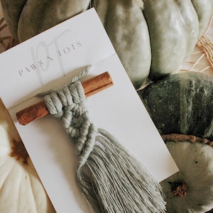 Puede incluir: Un tapiz de macram&eacute; verde salvia con un palo de canela unido a &eacute;l. El tapiz est&aacute; sobre una tarjeta blanca con el texto "PAWS & TOTS".