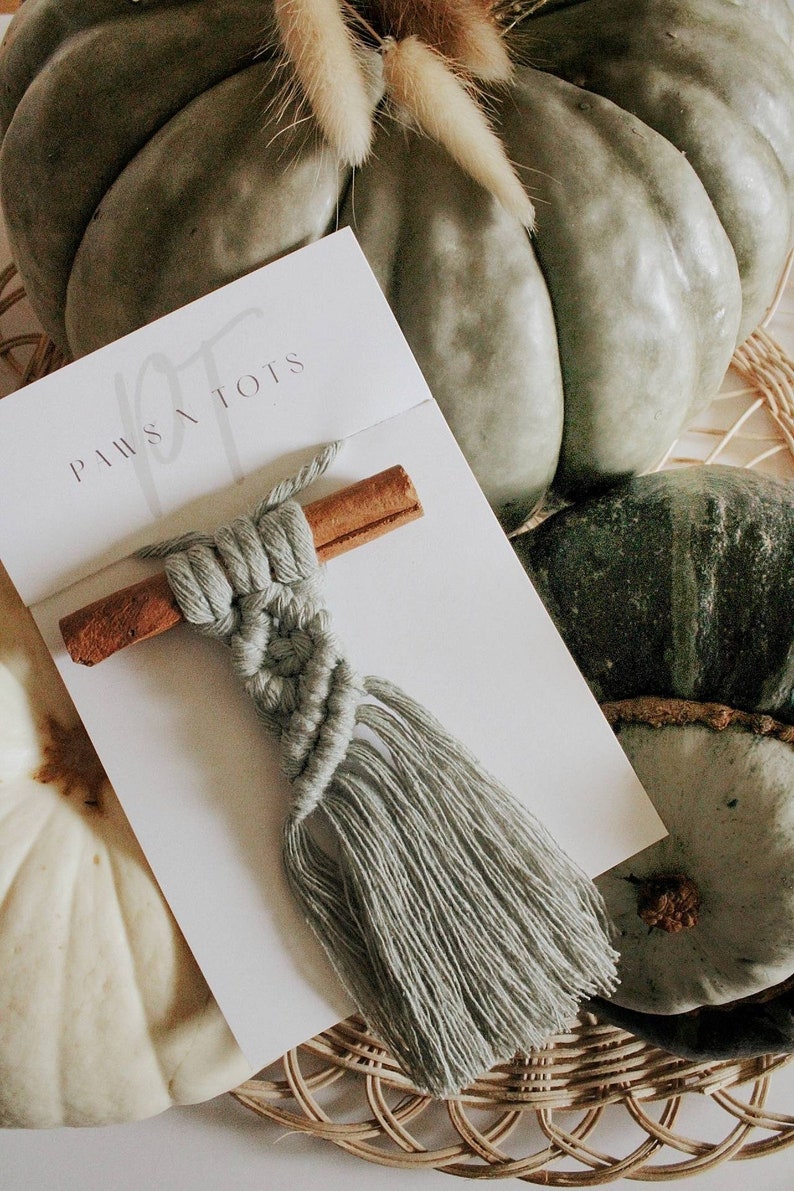 Puede incluir: Un tapiz de macram&eacute; verde salvia con un palo de canela unido a &eacute;l. El tapiz est&aacute; sobre una tarjeta blanca con el texto "PAWS & TOTS".