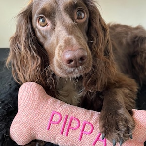 May include: A brown Cocker Spaniel with long, wavy fur, looking at the camera. It holds a pink bone-shaped toy embroidered with "PIPPA" in pink. The toy has a textured, woven design. The dog's fur and the toy's colours create a warm, inviting image.