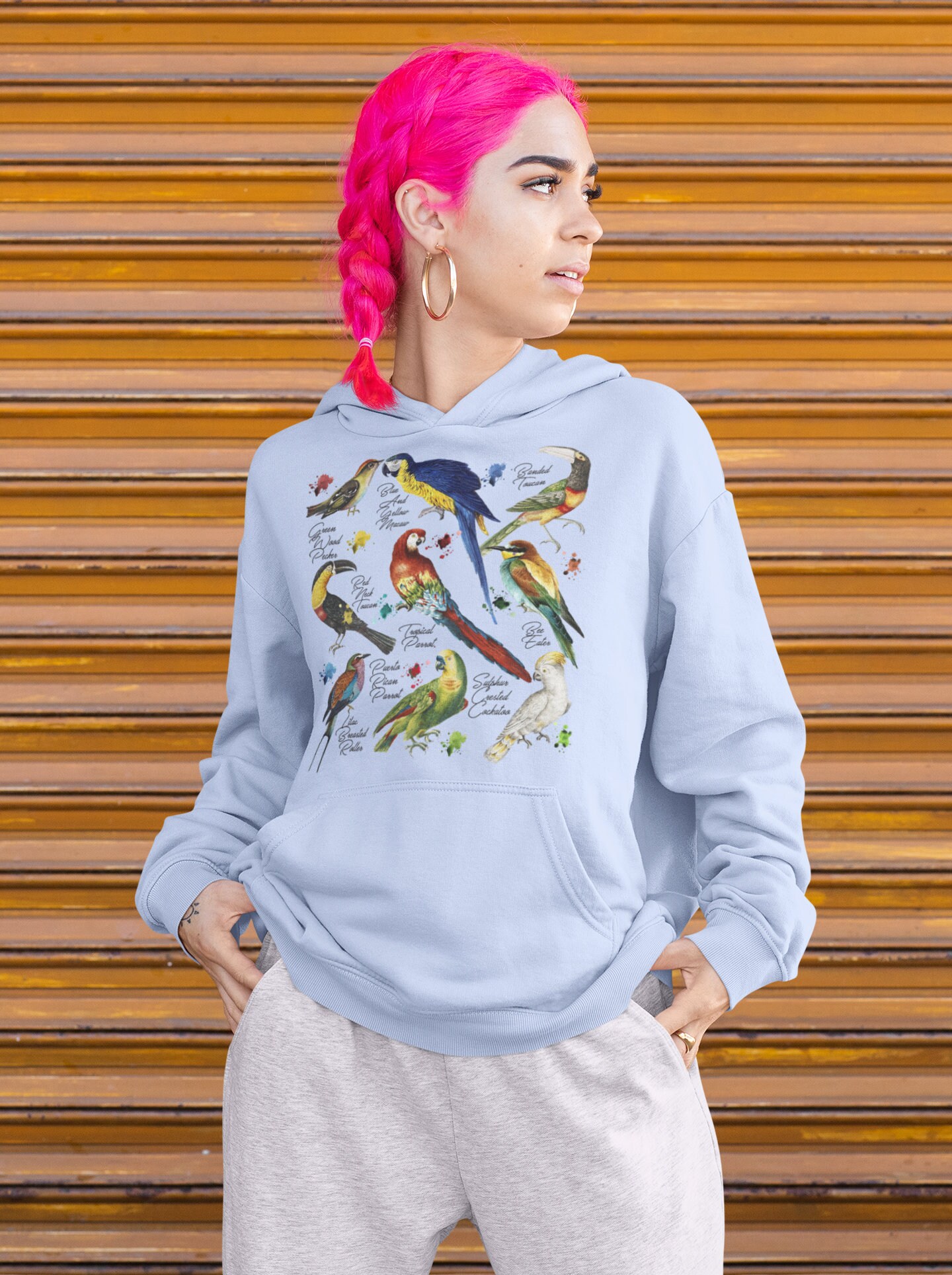 Parrot Bird Hoodie, Cute Animal Sweater, Nature Graphic Tee, Wildlife ...