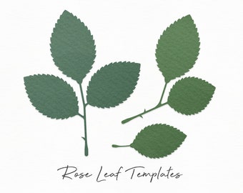 Free Rose Leaf Svg Free