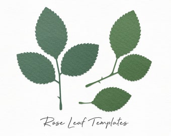 Rose Leaf Templates SVG, Paper Flower SVG, Rose Leaves Template, Paper Flowers Template, Silhouette Cut Files, Cricut Cut Files / FT00274
