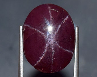 Natural Garnet Star Cabochon 16.64 Carats Loose Gemstone 13.7x17.5 MM | Genuine Star Garnet Cabochon for Jewelry Making Rare Red Garnet Gem