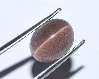Natural Spectrolite Cats Eye Loose Gemstone Cabs, Stunning Cats Eye A Sharp Ray Moving Spectrolite Cabochon For Making Jewelry, Size-10x8 MM