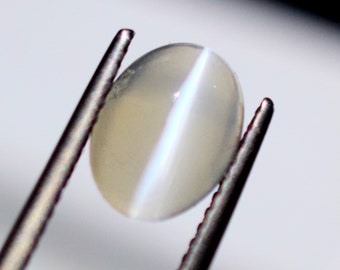 Natural Sillimanite Cat's Eye Cabochon | Rich Grey Loose Gemstone 2.12 Ct 7x9.4 mm SL-110