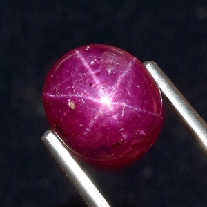 May include: A polished, oval-shaped ruby gemstone, held by silver tweezers. The ruby is a deep, rich red color with a six-rayed star effect across its surface. The background is a dark, solid color.