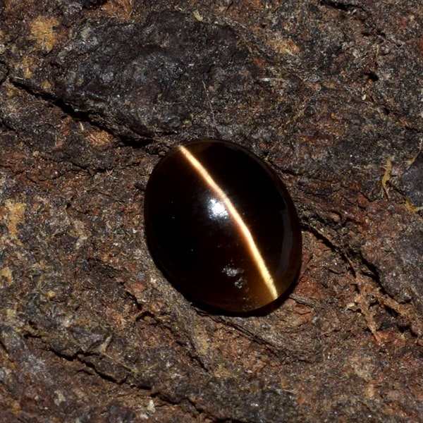 Erstaunliche schwarze Katze natürliche Sillimanit Catseye mit einem braunen Auge von 3,04 Karat 8 x 10 MM mit einem scharfen Strahl des Auges SC-79