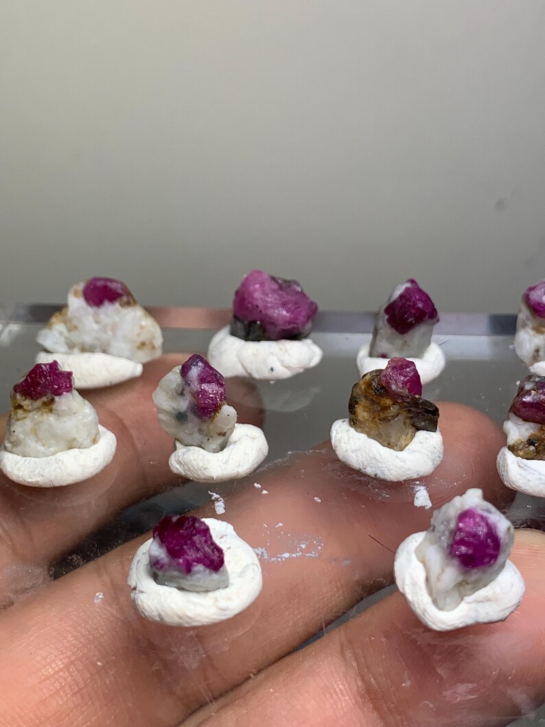 May include: A collection of small, raw ruby crystals embedded in white matrix rock. Each individual stone is set into a small, circular white clay base. The rubies display a deep magenta-pink colour, contrasting with the opaque white and tan mineral host.