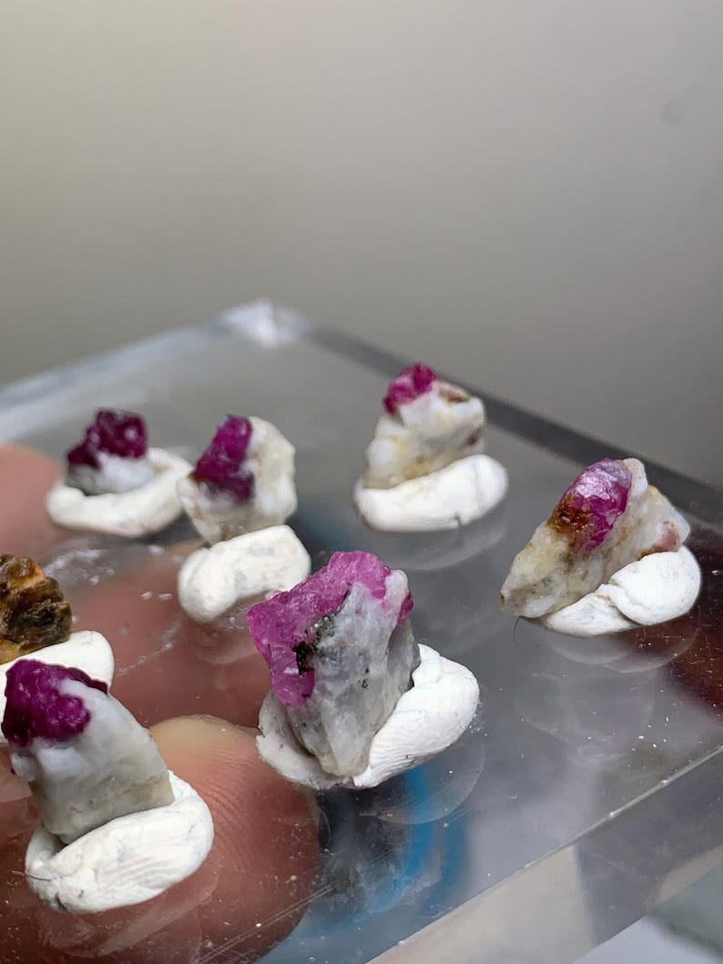 May include: A collection of small, raw ruby crystals embedded in white mineral matrix. Each piece is secured in a white, circular clay-like base, arranged on a clear, flat surface. The rubies display deep magenta and red hues with rough textures.