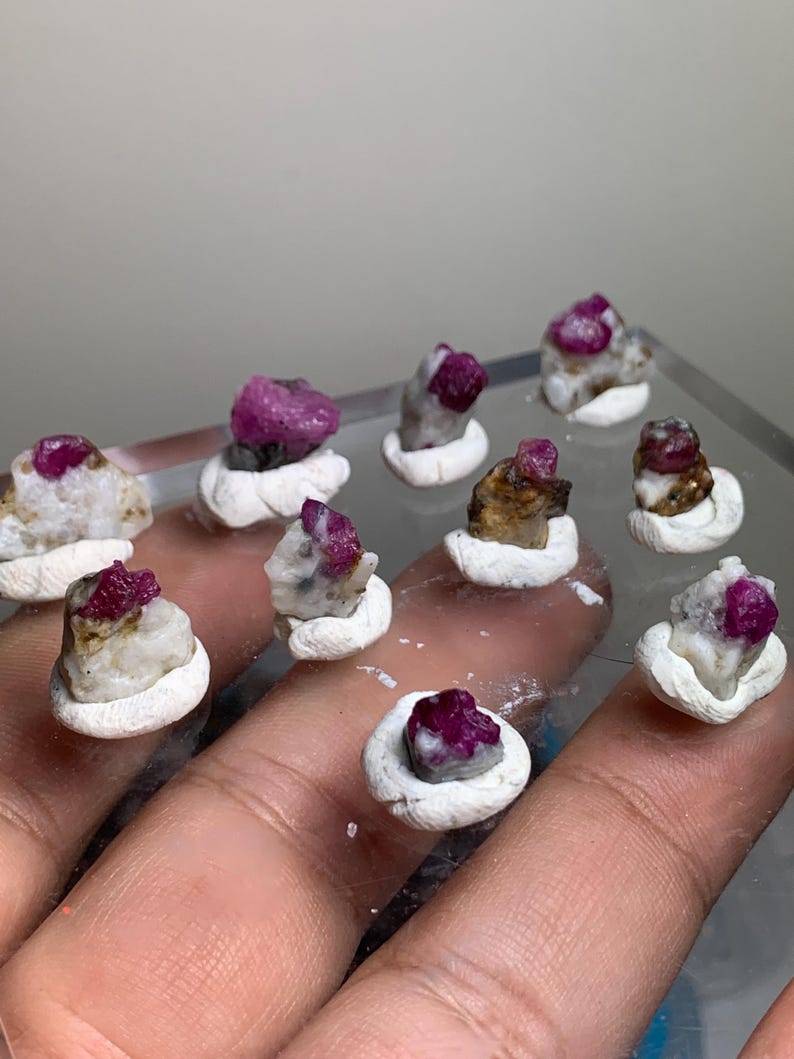 May include: A collection of small, raw ruby crystals embedded in white, textured mineral matrix bases. Each piece features a vibrant, deep pinkish-red gemstone protruding from a rough, light-coloured rock formation, arranged in a group.