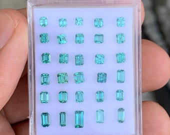 Lagoon Tourmaline lot.