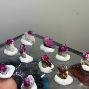 May include: A collection of small, raw, deep pink ruby crystals embedded in light-coloured matrix rock. Each individual mineral specimen is secured upright in a small, circular white clay base, arranged in a grid pattern on a clear surface.