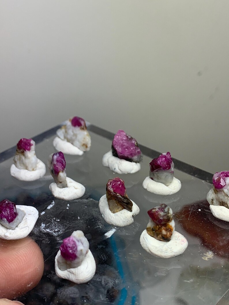 May include: A collection of small, raw, deep pink ruby crystals embedded in light-coloured matrix rock. Each individual mineral specimen is secured upright in a small, circular white clay base, arranged in a grid pattern on a clear surface.