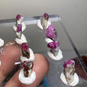 May include: A collection of small, raw, deep pink ruby crystals embedded in white matrix rock. Each individual stone is secured in a small, circular white clay base, arranged in rows on a clear, transparent acrylic display stand.